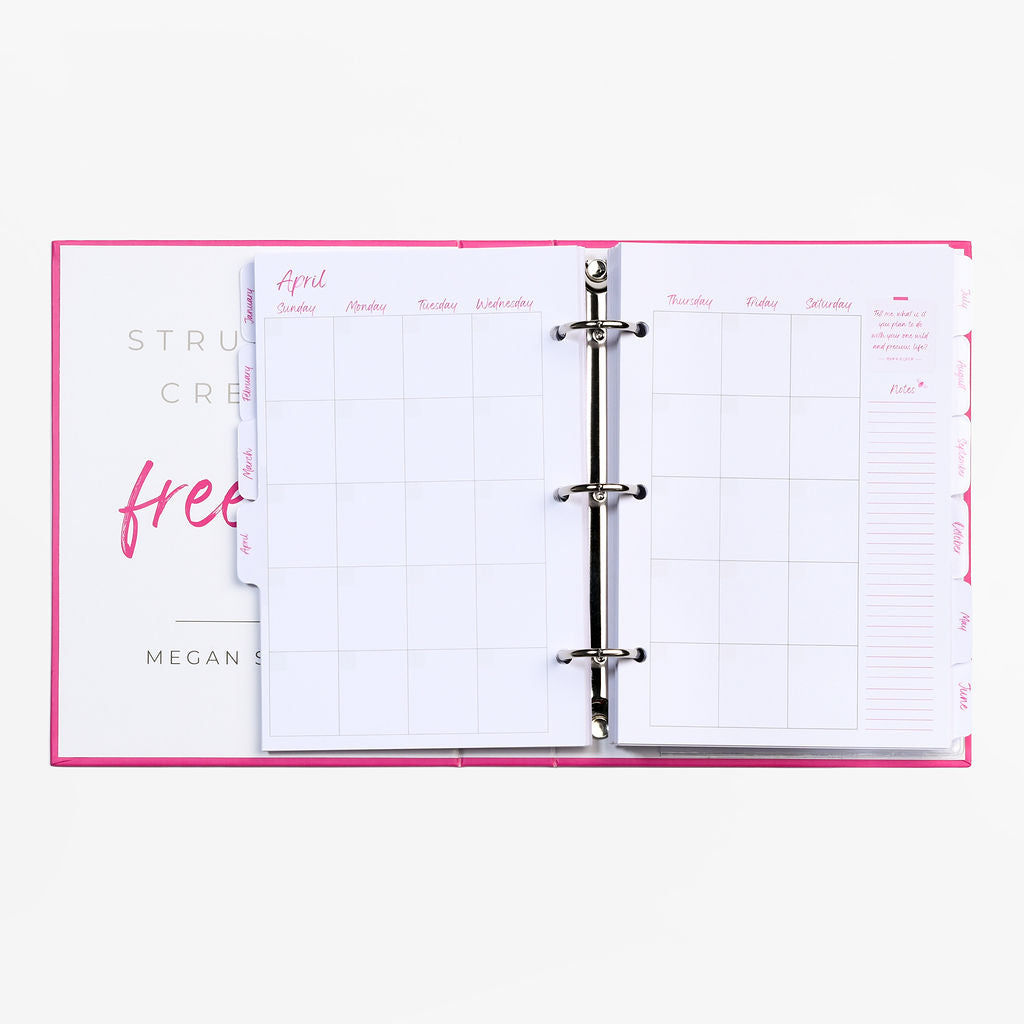 Light Pink Full Size TOP Planner Bundle