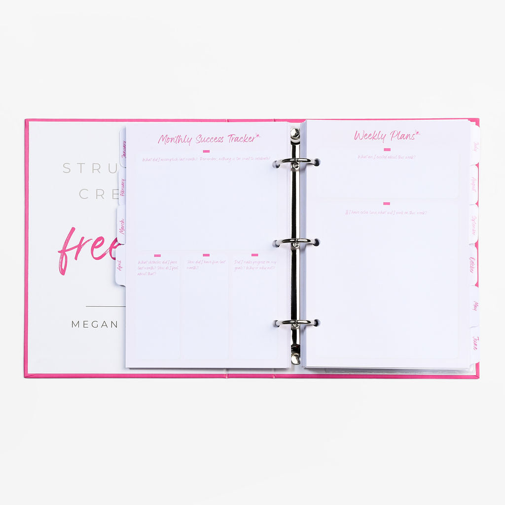 Hot Pink Standard TOP Planner Bundle